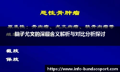 脑子尤文的深层含义解析与对比分析探讨